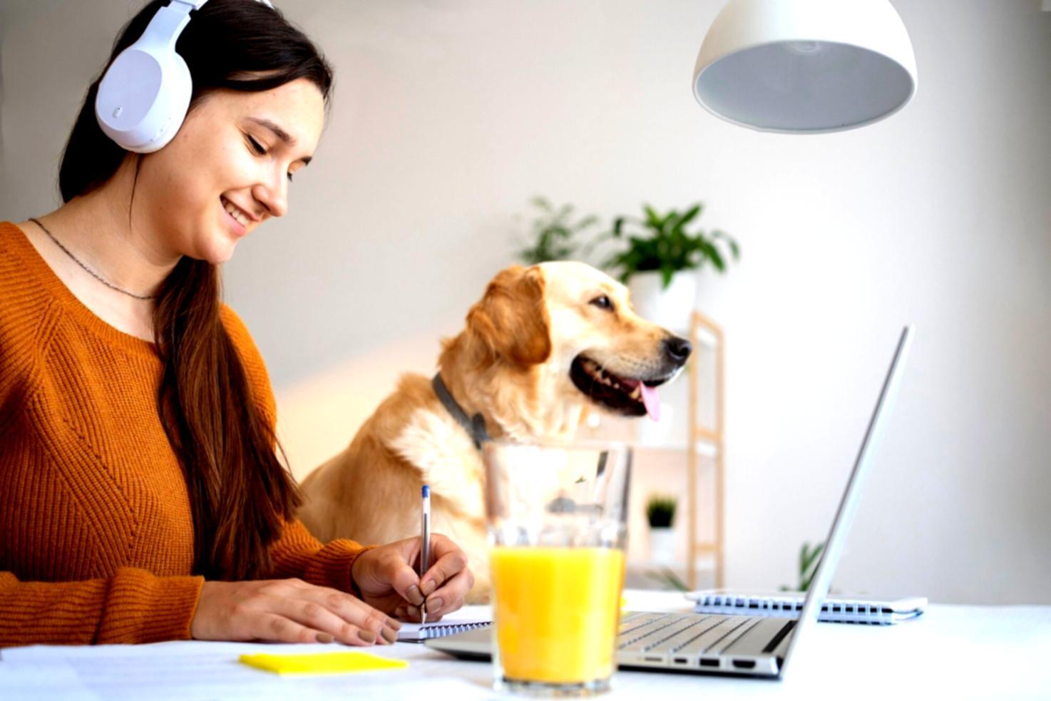 Environnement de travail collaboratif chez phenoriqen